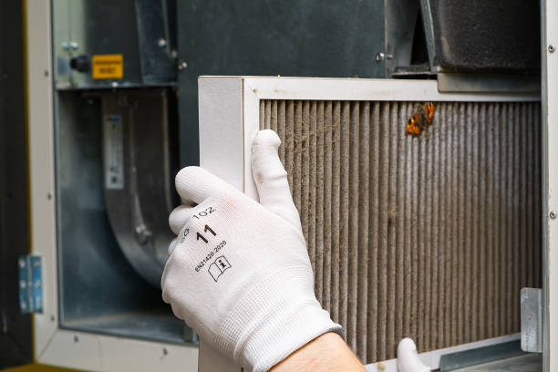 Best Home Air Vent Cleaning  in Nixa, MO
