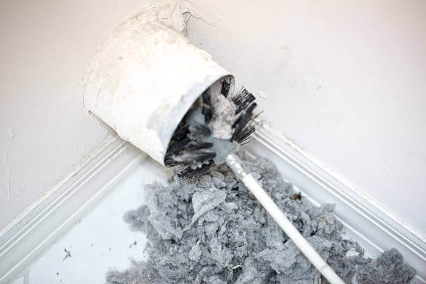 Best Professional Duct Cleaning Services  in Nixa, MO