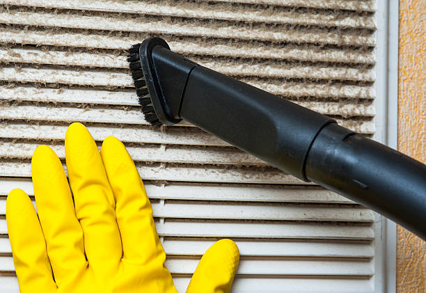 Air Duct Mold Removal in Nixa, MO